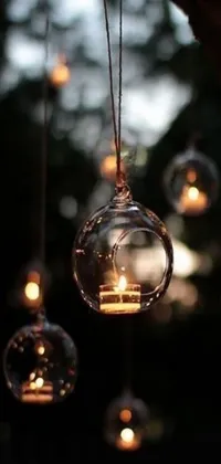 This phone live wallpaper showcases a group of light bulbs hanging from a tree, floating candles, inside a glass orb, and candle wax