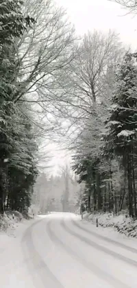 This phone live wallpaper depicts a stunning black and white photo of a snow-covered forest and winding road