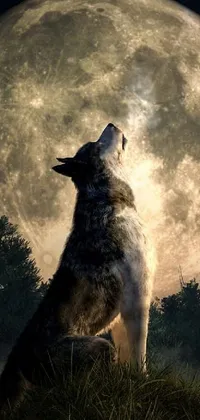 This phone live wallpaper depicts a fierce wolf howling in front of a full moon