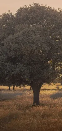 This phone live wallpaper features two majestic trees standing in a lush field