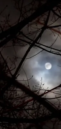 Looking for a mesmerizing and surreal live wallpaper for your phone? Look no further than this enchanting screen cap of a full moon shining through the branches of a tree, with flickering and digital art effects, captured from a YouTube video