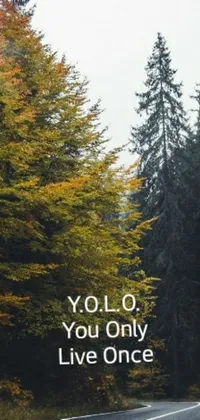 This lively phone live wallpaper features a "Yolo" road sign, an album cover, a Tumblr icon, Lyco art, an overgrown forest, an Ello icon, cover art for a music single and a motivating quote that reminds the user to make every moment count
