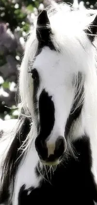 This phone live wallpaper showcases a stunning black and white horse standing next to a tree