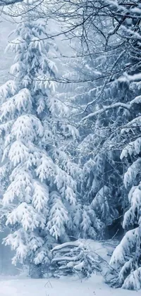 This winter-themed phone live wallpaper features a stunning photograph of a person skiing through a snowy slope