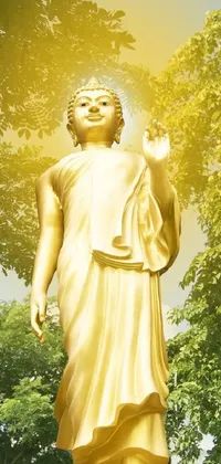 This stunning Phone Live Wallpaper features a high-resolution photo of a serene golden Buddha statue set amidst a beautiful park