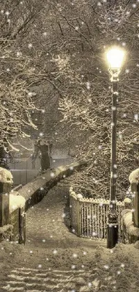 This live wallpaper for your phone depicts a snowy bridge adorned with a street light, featuring beautiful white sparkles