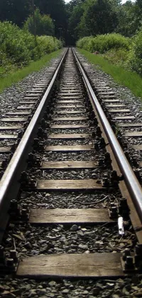 Discover the beauty of train tracks with this captivating phone live wallpaper