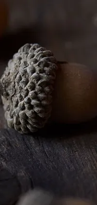 Enhance your phone's display with this stunning live wallpaper featuring a group of acorns sitting on a wooden table