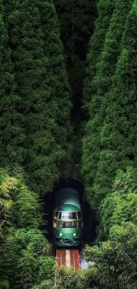 This phone live wallpaper features a mesmerizing view of a green train moving through a vibrant forest