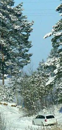 This phone live wallpaper features a winter wonderland with cars on a snowy road surrounded by snow-covered trees and bushes
