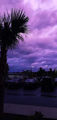 Looking for a fun and unique live wallpaper for your phone? Check out this palm tree in a parking lot with dark clouds rolling in featuring lightning strikes and changing colors! With playful emojis like 😭 🤮 💕 🎀 and a gradient black to purple background, this wallpaper is perfect for those who want a whimsical touch to their phone's aesthetic