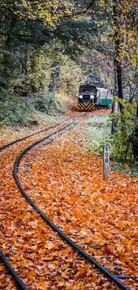 This stunning mobile phone wallpaper features a scenic autumn forest with a train brought to life by fallen leaves for a mesmerizing effect