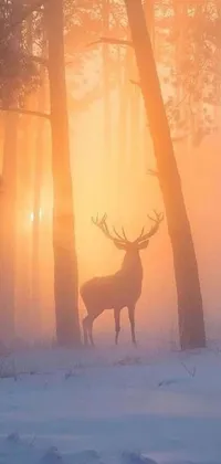 This phone live wallpaper features an enchanting depiction of a majestic deer standing in a wintry landscape