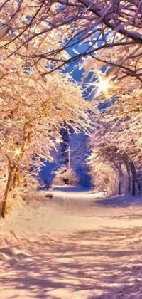 This live wallpaper features a snow covered forest path, perfect for creating a peaceful winter atmosphere