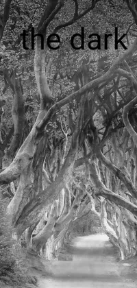 This phone live wallpaper features a captivating black and white photograph of a dirt road surrounded by twisted and contorted tree limbs, reminiscent of an old elven wood or hedge maze