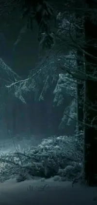 This live wallpaper features a fire hydrant in a snow-covered forest, creating a surreal and peaceful atmosphere