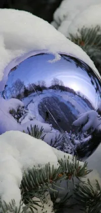 Transform your phone into a winter wonderland with this mesmerizing live wallpaper