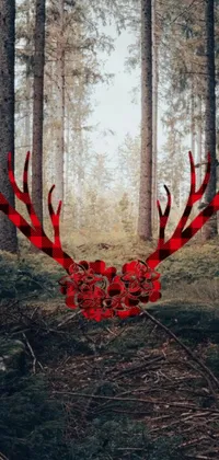 This phone live wallpaper showcases a stunning deer head in the middle of a forest, with bold red horns and a stylish tartan garment