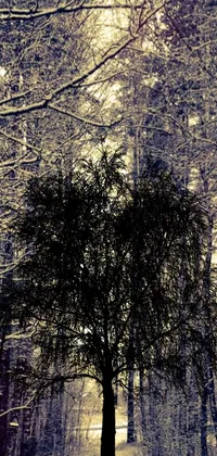 This phone live wallpaper showcases a beautiful tree in the midst of a snowy forest