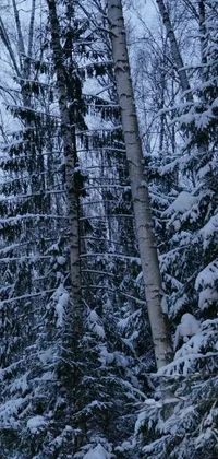 This phone live wallpaper depicts a snowy forest landscape with a skier skiing through the fresh snow