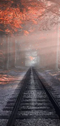 This beautiful live wallpaper depicts a tranquil forest scene with a meandering train track