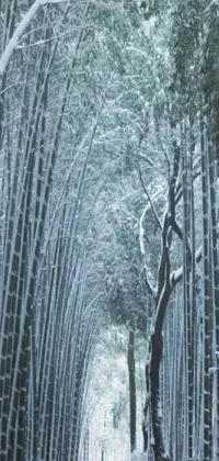 This phone live wallpaper features a serene winter scene of a group of people walking on a snowy path in a bamboo forest