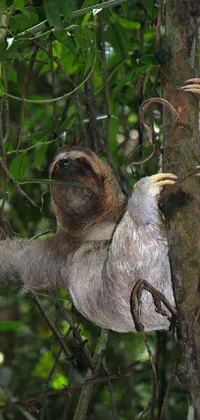 This brown and white sloth phone live wallpaper features a lazy and cute creature hanging from a tree with shiny skin and waving arms resembling a bull's