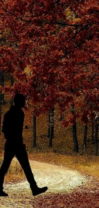 This live wallpaper features a breathtaking digital artwork of a person walking through a forest during autumn