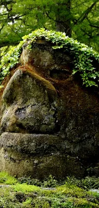 This phone live wallpaper features stunning environmental art of a large rock in a forest, transformed into an impressive Polynesian god statue