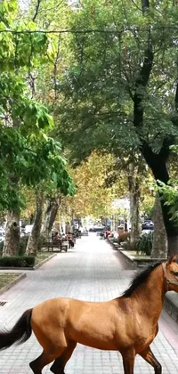 This phone live wallpaper features a lifelike scene of a horse walking down the street, surrounded by greenery and cityscape monuments