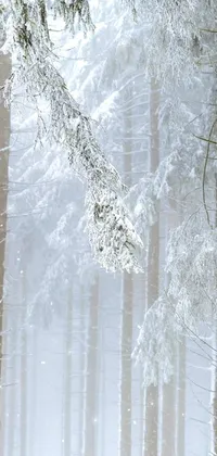 This live phone wallpaper showcases a picturesque winter scene in a German forest