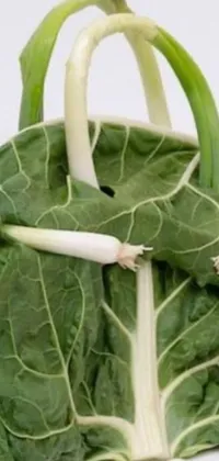 This live wallpaper features a close-up shot of a green leafy vegetable against a white background