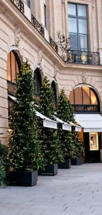 This phone wallpaper features a row of Christmas trees in front of a building, beautifully decorated with luxurious ornaments and ribbons