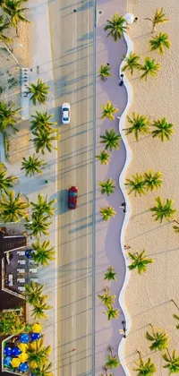 This live wallpaper showcases an aerial view of a palm tree-lined beach