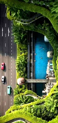 This phone live wallpaper showcases a bustling street where two cars drive past a vivid green tree and tropical plants