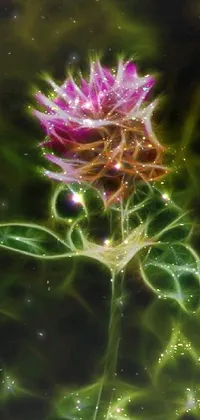 Plant Water Flower Live Wallpaper