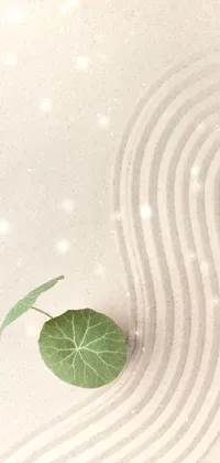 Plant Water Fruit Live Wallpaper