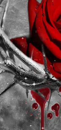 This Gothic-inspired live wallpaper features a beautiful black and white photograph of a deep red rose surrounded by a digital rendering of a crown of thorns
