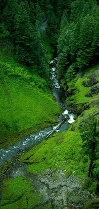 Escape to a lush green forest with a breathtaking waterfall in this tilt shift phone live wallpaper