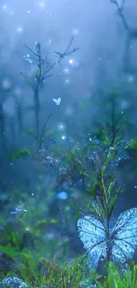 This phone live wallpaper depicts a blue butterfly resting on lush green forest foliage during the evening hours