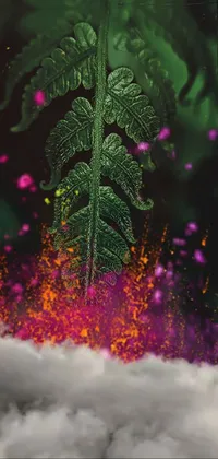 Plant Water Purple Live Wallpaper