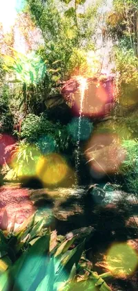 Plant Water Resources Ecoregion Live Wallpaper