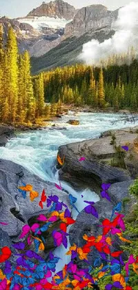 Plant Water Resources Water Live Wallpaper