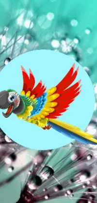 This colorful parrot live wallpaper features a beautiful, vibrant bird sitting on a dandelion
