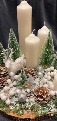 Plant White Candle Live Wallpaper