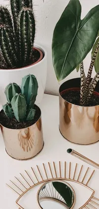 This live wallpaper showcases a stunning table arrangement with potted plants, a mirror, and cans of paint and brushes