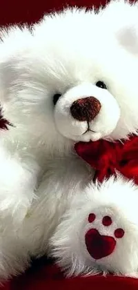 Most beautiful teddy sales bear wallpapers