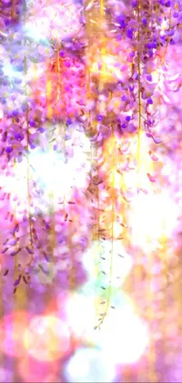 Plant Window Purple Live Wallpaper