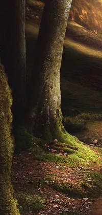 This live wallpaper boasts a beautiful red fire hydrant amidst verdant forestry