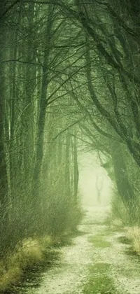 This phone live wallpaper displays a surreal forest scene featuring a person walking a path